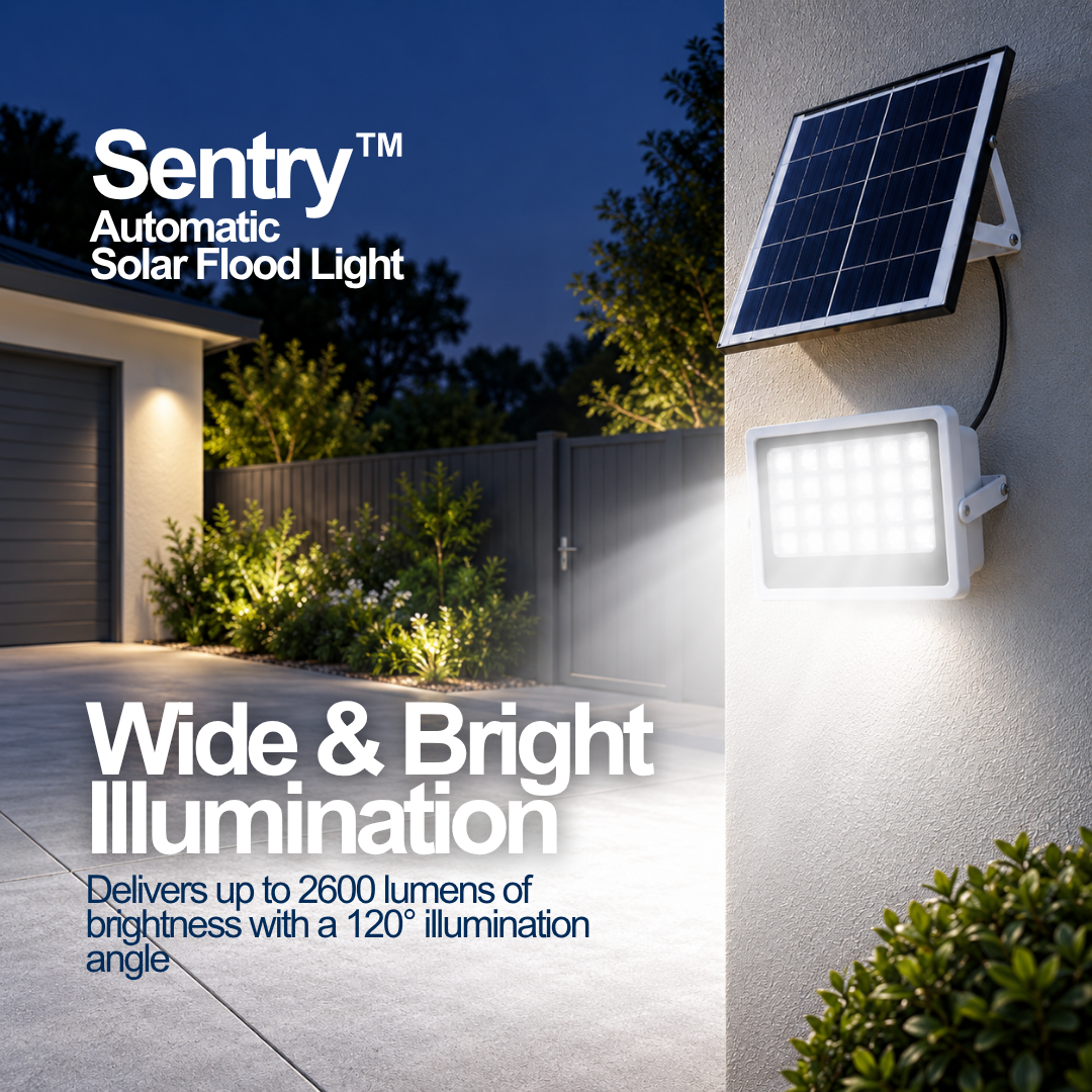 Sentry™ Automatic Solar Flood Light