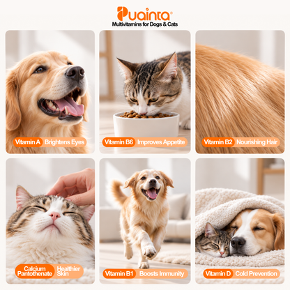 PUAINTA® Multivitamins for Dogs and Cats